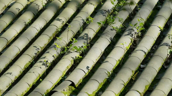 The green grass growing up on the top roof of one temple in China