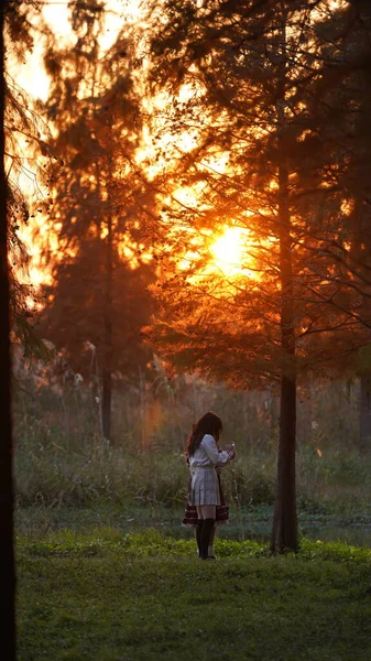 Une Fille Debout Dans Les Bois Avec Soleil Couchant Chaud — Photo