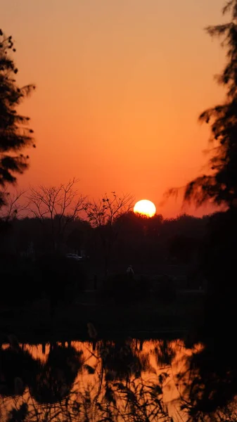Gyönyörű Naplemente Kilátás Erdőben Meleg Színes Naplemente Napfény — Stock Fotó