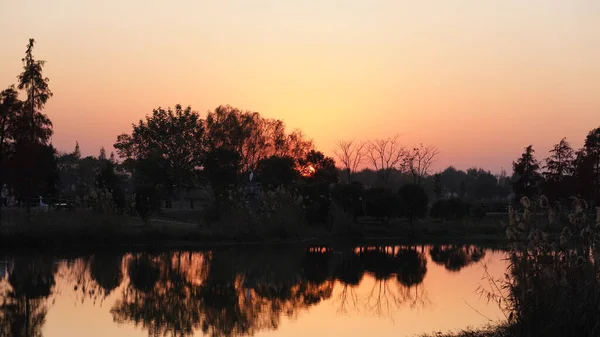 Hermosa Vista Del Atardecer Bosque Con Cálida Colorida Luz Del — Foto de Stock