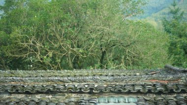 Pencerelerden biri odanın içinde duran rüzgardan içeri bakıyordu.