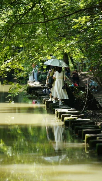 Den Vackra Utsikt Över Byn Med Floden Vattenfall Södra Kina — Stockfoto