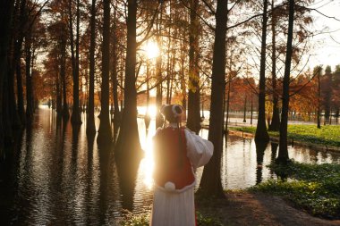 Orman manzarası, sularda büyüyen ağaçlar.