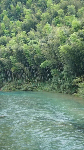 Bela Paisagem Rural Chinesa Com Madeiras Bambu Colina — Fotografia de Stock