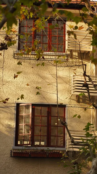 Прекрасний Вид Місто Жовтим Осіннім Листям Старими Будівлями Під Теплим — стокове фото
