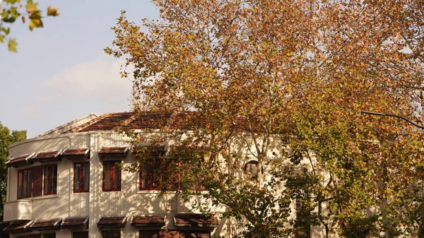 Der Schöne Blick Auf Die Stadt Mit Den Gelben Herbstblättern — Stockfoto