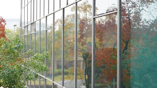 Widok Biurowy Kolorowym Jesienią Pozostawia Odbicie Szklanych Oknach — Zdjęcie stockowe