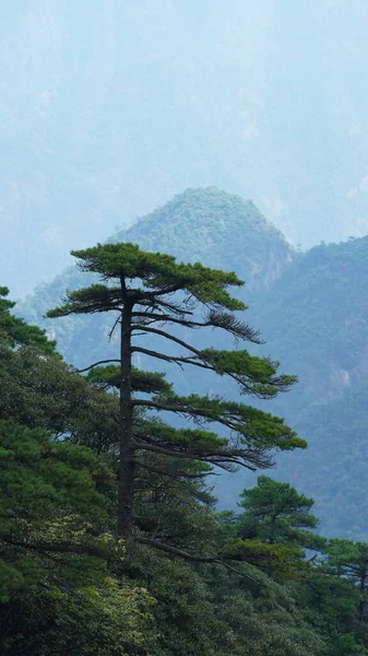 Beautiful Mountains Landscapes Green Forest Erupted Rock Cliff Background Countryside — Stock Photo, Image