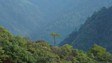 Yeşil ormanlı güzel dağlar ve püsküren kaya uçurumları Çin 'in kırsal kesimlerinde arka plan olarak kullanılıyor.