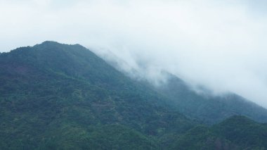 Yeşil ormanı olan güzel dağlar ve Çin kırsalının arka planında küçük bir köy.