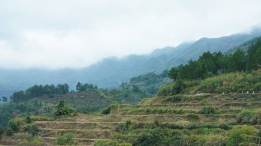 Yeşil ormanı olan güzel dağlar ve Çin kırsalının arka planında küçük bir köy.