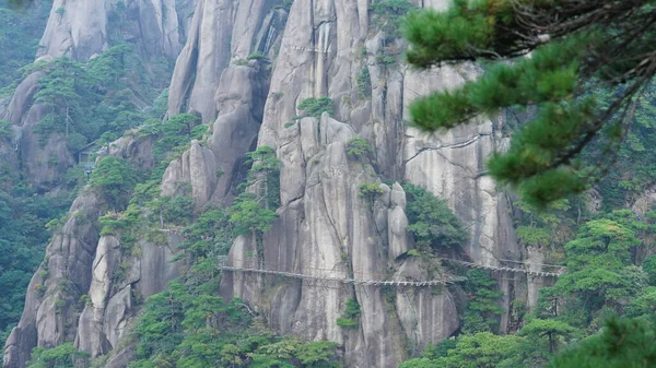 Los Hermosos Paisajes Montañosos Con Bosque Verde Camino Tablón Construido — Foto de Stock