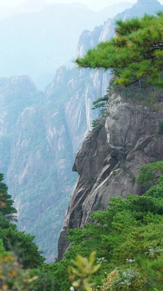 Vackra Bergslandskapen Med Den Gröna Skogen Och Den Utspruckna Klippan — Stockfoto
