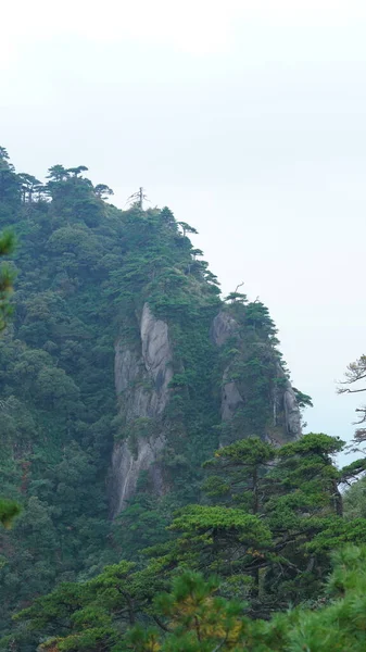 以青翠的森林和喷发的岩石悬崖为背景的中国农村美丽的山水景观 — 图库照片