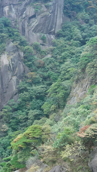 Gyönyörű Hegyvidéki Tájak Zöld Erdő Kitört Sziklaszirt Mint Háttér Kínai — Stock Fotó