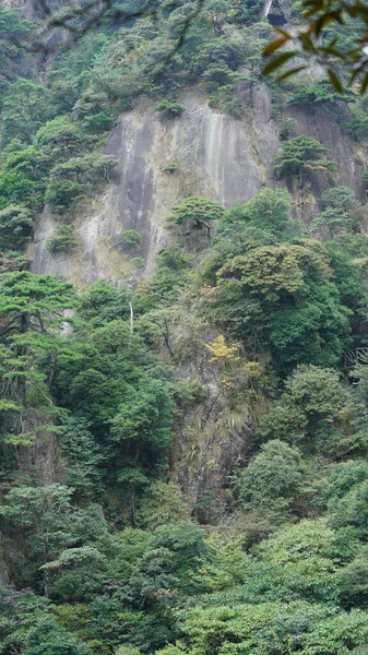 以青翠的森林和喷发的岩石悬崖为背景的中国农村美丽的山水景观 — 图库照片