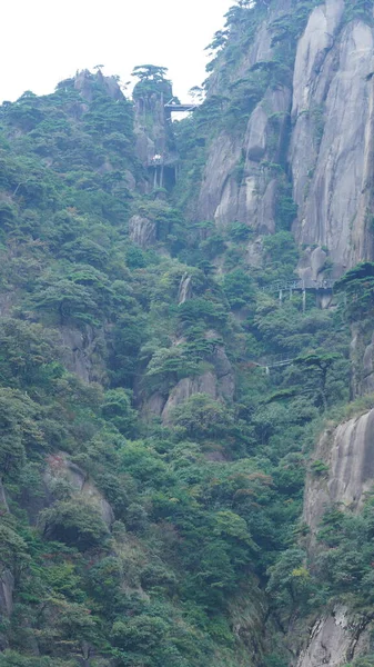 Los Hermosos Paisajes Montañosos Con Bosque Verde Camino Tablón Construido —  Fotos de Stock