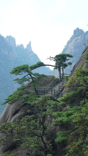 Yeşil Ormanlı Güzel Dağlar Çin Kırsal Kesimindeki Bir Uçurumun Üzerine — Stok fotoğraf