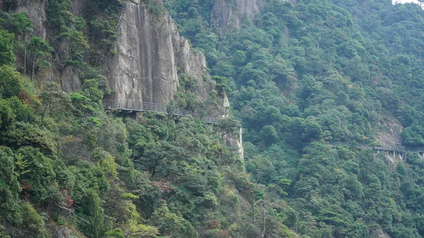 Los Hermosos Paisajes Montañosos Con Bosque Verde Camino Tablón Construido — Foto de Stock