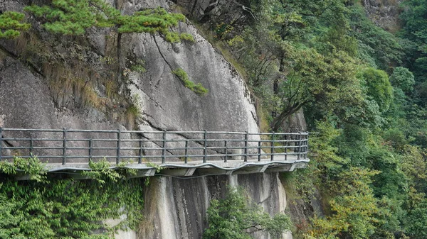 Los Hermosos Paisajes Montañosos Con Bosque Verde Camino Tablón Construido —  Fotos de Stock