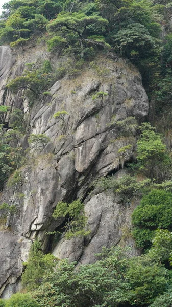 Yeşil Ormanlı Güzel Dağlar Püsküren Kaya Uçurumları Çin Kırsal Kesimlerinde — Stok fotoğraf