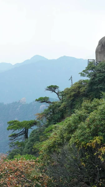 Красиві Гірські Краєвиди Зеленим Лісом Дошкульною Дорогою Побудованою Краю Скелі — стокове фото