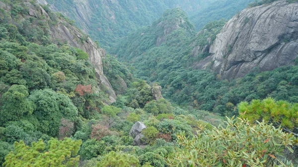 Krásné Horské Krajiny Zeleným Lesem Vybuchlé Skalní Útesy Jako Pozadí — Stock fotografie
