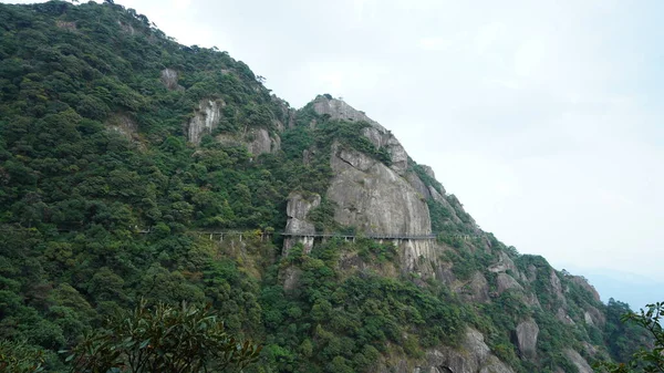 Les Magnifiques Paysages Montagneux Avec Forêt Verte Une Route Planches — Photo