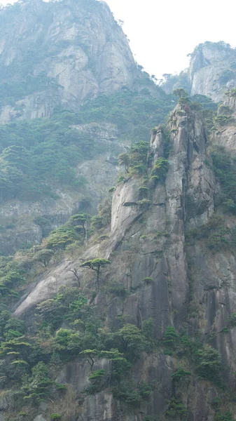 Красиві Гірські Краєвиди Зеленим Лісом Вивергнутою Скелею Фон Сільській Місцевості — стокове фото