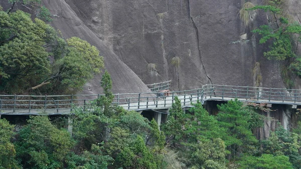 Los Hermosos Paisajes Montañosos Con Bosque Verde Camino Tablón Construido —  Fotos de Stock