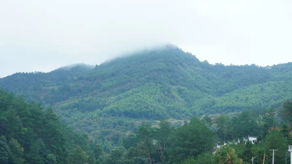 Beautiful Mountains Landscapes Green Forest Little Village Background Countryside China — Stockfoto