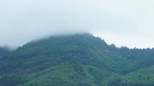 Krásné Horské Krajiny Zeleným Lesem Malou Vesničkou Jako Pozadí Venkově — Stock fotografie