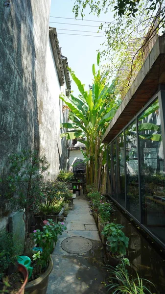 Bela Vista Tradicional Aldeia Chinesa Com Arquitetura Clássica Árvores Verdes — Fotografia de Stock