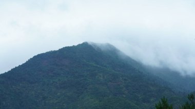 Klasik mimari ve taze yeşil ağaçların arka planda olduğu güzel geleneksel Çin köyü manzarası.