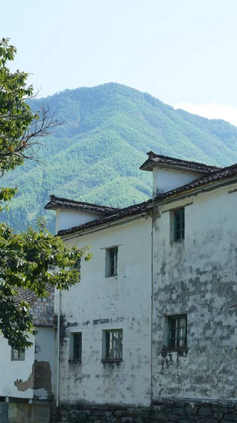 Beautiful Traditional Chinese Village View Classical Architecture Fresh Green Trees — Stock Photo, Image