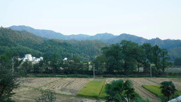 Beautiful Traditional Chinese Village View Classical Architecture Fresh Green Trees — Stock Photo, Image