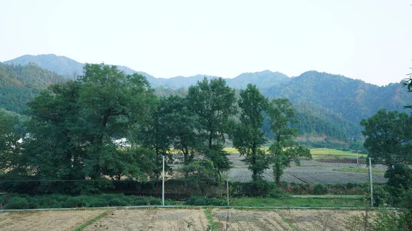 以古典建筑和新鲜绿树为背景的美丽的中国传统乡村景观 — 图库照片