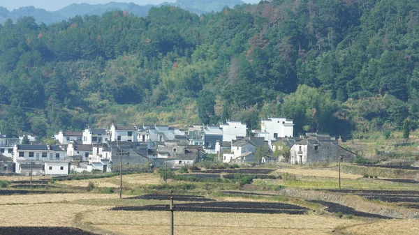 古典建築の美しい伝統的な中国の村の景色と背景として新鮮な緑の木 — ストック写真