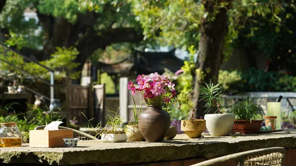 Splendida Vista Sul Giardino Con Fiori Tavoli Pietra Nel Villaggio — Foto Stock