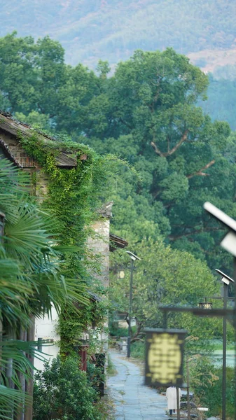Piękny Tradycyjny Chiński Widok Wsi Klasyczną Architekturą Świeże Zielone Drzewa — Zdjęcie stockowe