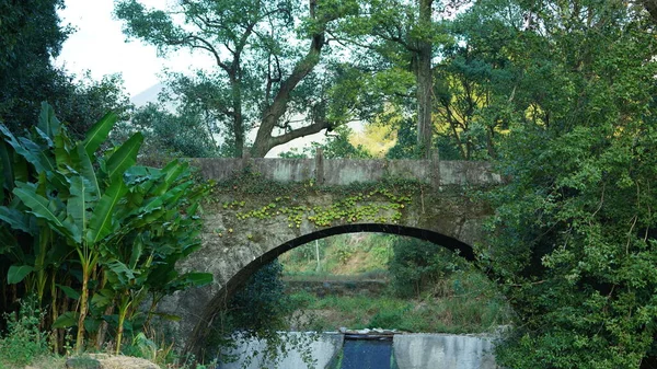 Die Alte Gewölbte Steinbrücke Blick Befindet Sich Der Landschaft Der — Stockfoto