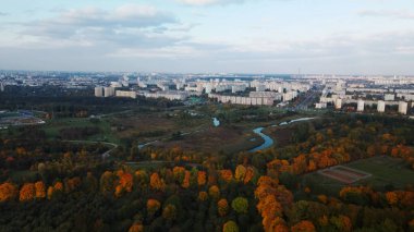 Sonbahar parkında uçuş. Sarı sonbahar yapraklı ağaçlar görülebilir. Ufukta bulutlu mavi bir gökyüzü ve şehir evleri var. Hava fotoğrafçılığı.