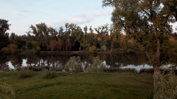 秋の公園を飛行します 黄色の紅葉をした木が見える 空中写真 — ストック写真