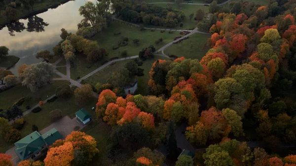 Полет Над Осенним Парком Видны Деревья Жёлтыми Осенними Листьями Парковый — стоковое фото