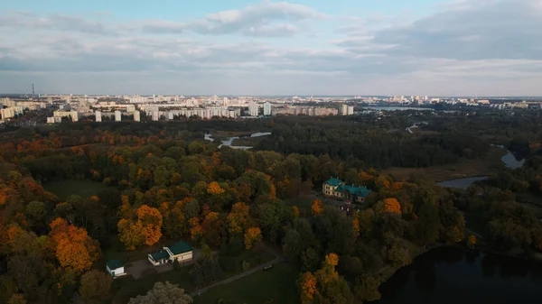 Flug Über Den Herbstpark Bäume Mit Gelben Herbstblättern Sind Sehen — Stockfoto