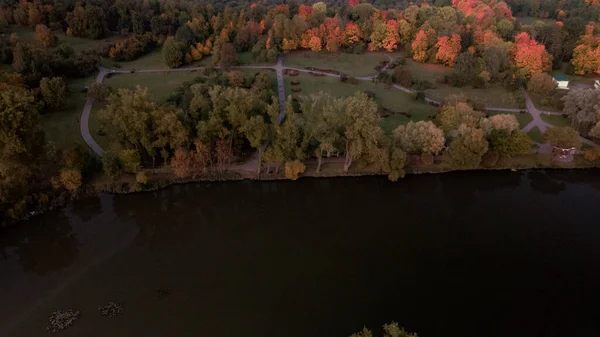 秋の公園を飛行します 黄色の紅葉をした木が見える 公園の池が見える 空中写真 — ストック写真