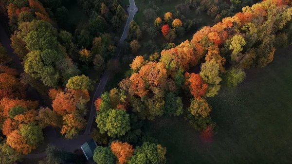 Πτήση Πάνω Από Φθινόπωρο Πάρκο Δέντρα Κίτρινα Φθινοπωρινά Φύλλα Είναι Φωτογραφία Αρχείου
