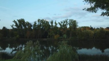 Sonbahar parkında uçuş. Sarı sonbahar yapraklı ağaçlar görülebilir. Hava fotoğrafçılığı.