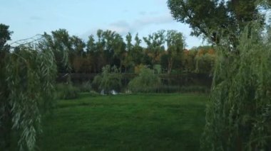 Sonbahar parkında uçuş. Sarı sonbahar yapraklı ağaçlar görülebilir. Hava fotoğrafçılığı.