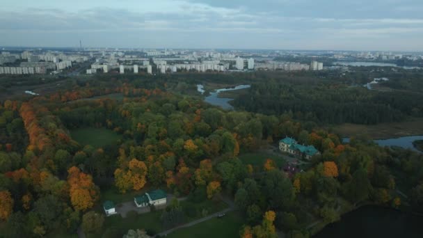 Lot Nad Jesiennym Parkiem Drzewa Żółtymi Liśćmi Jesieni Widoczne Fotografia — Wideo stockowe